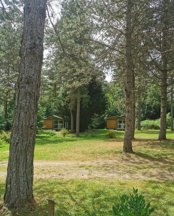 Chalet en pleine nature au calme camping correze