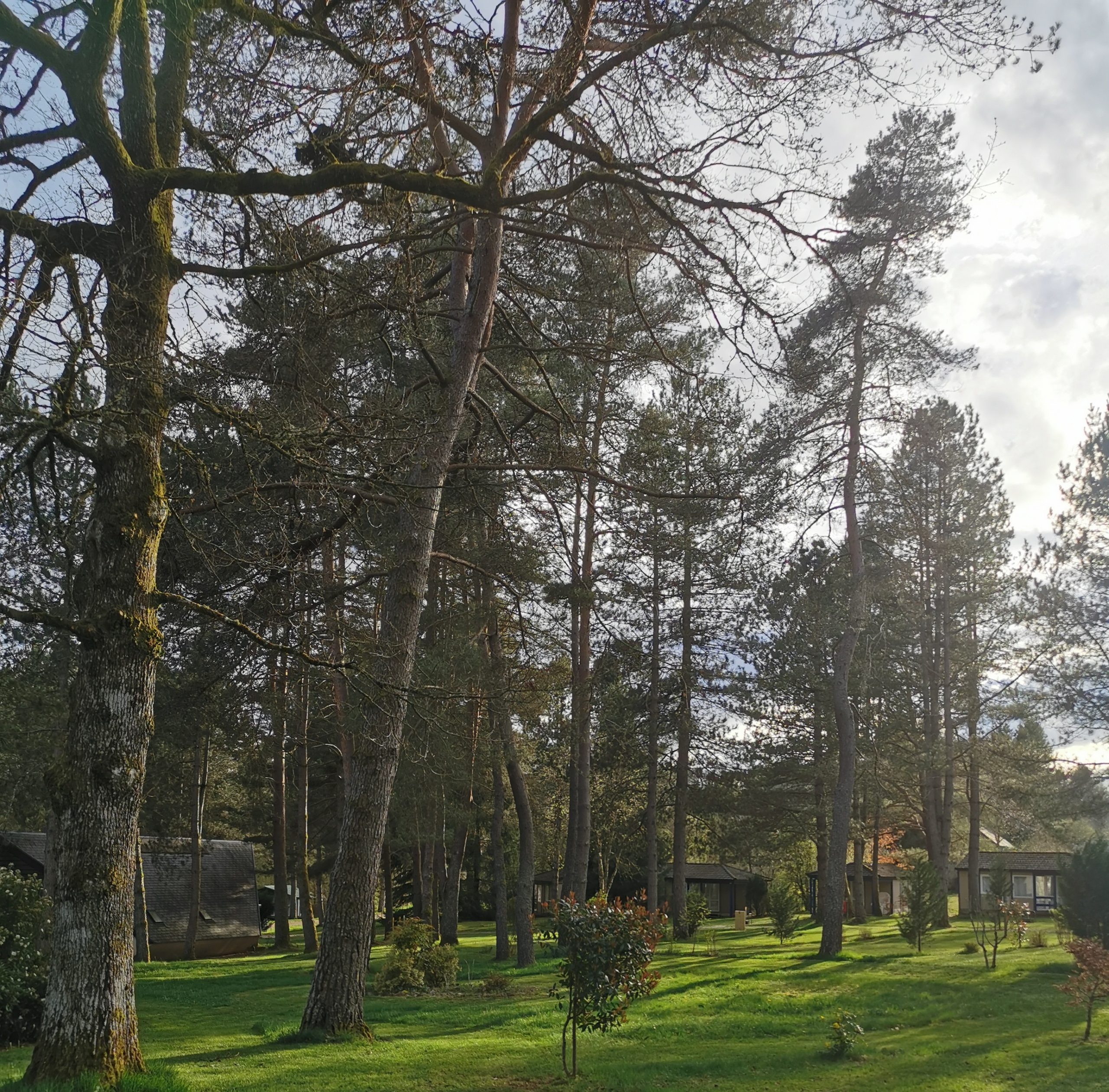Camping-nature-bungalows